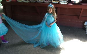 Elsa dress complete